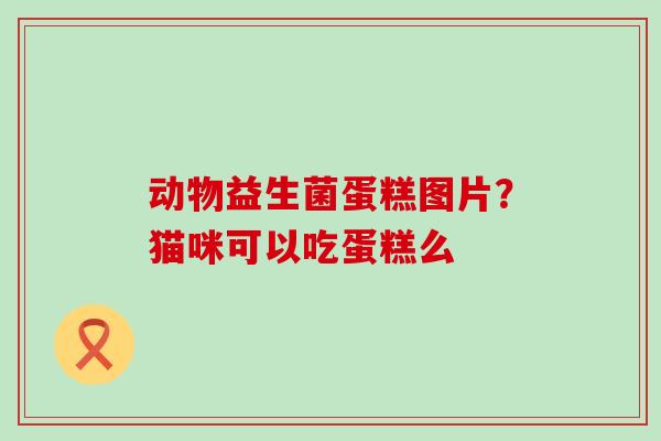 动物益生菌蛋糕图片?猫咪可以吃蛋糕么 动物益生菌蛋糕图片?猫咪可以吃蛋糕么