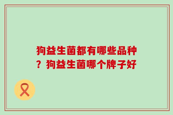 狗益生菌都有哪些品种？狗益生菌哪个牌子好
