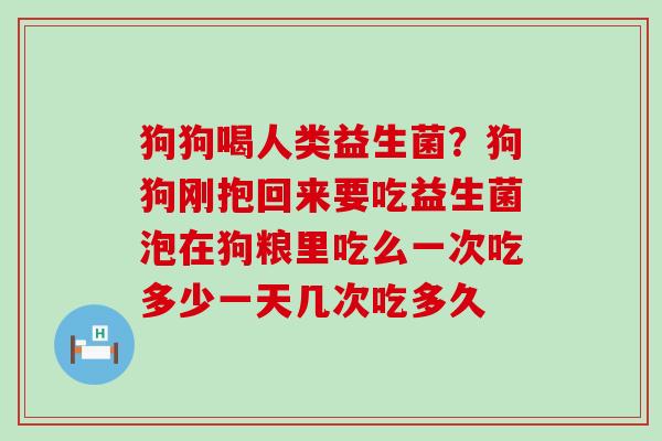 狗狗喝人类益生菌?狗狗刚抱回来要吃益生菌泡在狗粮里吃么一次吃多少一天几次吃多久 狗狗喝人类益生菌?狗狗刚抱回来要吃益生菌泡在狗粮里吃么一次吃多少一天几次吃多久