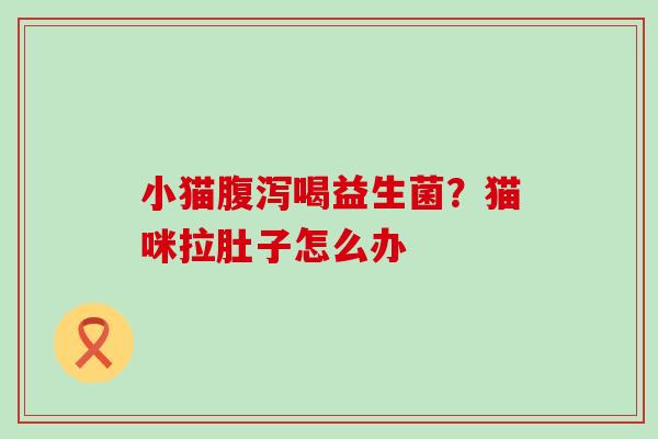 小猫喝益生菌?猫咪拉肚子怎么办 小猫喝益生菌?猫咪拉肚子怎么办