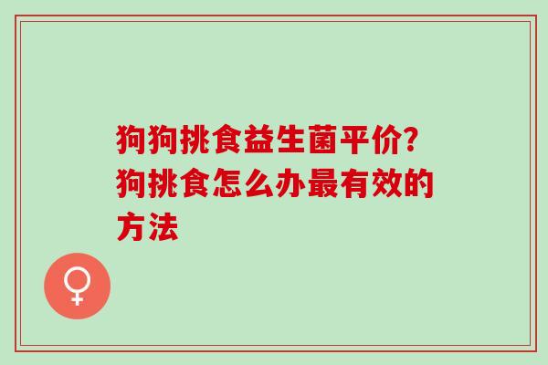 狗狗挑食益生菌平价?狗挑食怎么办有效的方法 狗狗挑食益生菌平价?狗挑食怎么办有效的方法