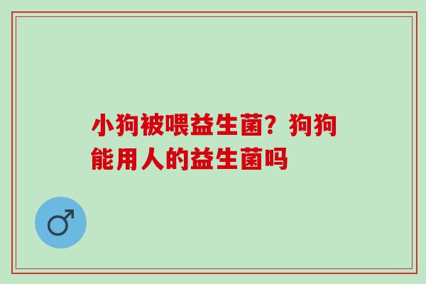 小狗被喂益生菌？狗狗能用人的益生菌吗