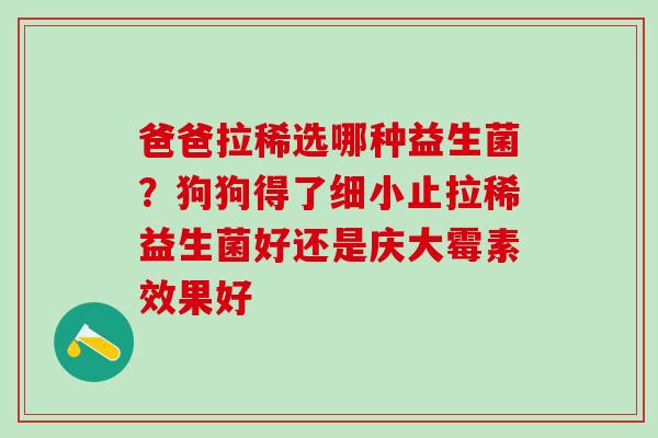 爸爸拉稀选哪种益生菌？狗狗得了细小止拉稀益生菌好还是庆大霉素效果好