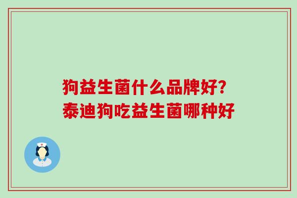 狗益生菌什么品牌好?泰迪狗吃益生菌哪种好 狗益生菌什么品牌好?泰迪狗吃益生菌哪种好