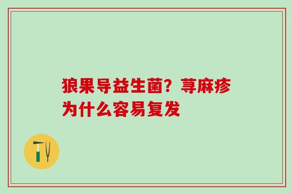 狼果导益生菌?荨麻疹为什么容易复发 狼果导益生菌?荨麻疹为什么容易复发