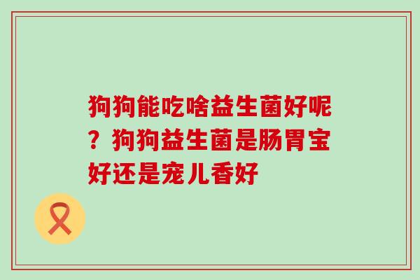 狗狗能吃啥益生菌好呢?狗狗益生菌是肠胃宝好还是宠儿香好 狗狗能吃啥益生菌好呢?狗狗益生菌是肠胃宝好还是宠儿香好
