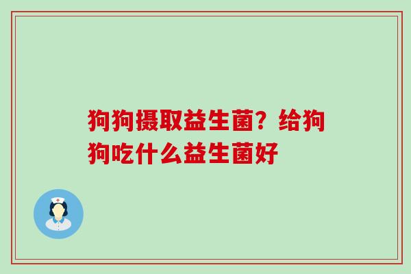 狗狗摄取益生菌？给狗狗吃什么益生菌好