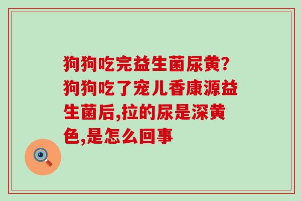狗狗吃完益生菌尿黄？狗狗吃了宠儿香康源益生菌后,拉的尿是深黄色,是怎么回事