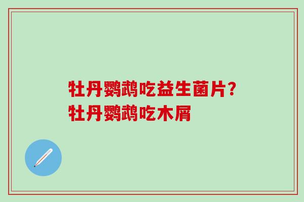 牡丹鹦鹉吃益生菌片？牡丹鹦鹉吃木屑