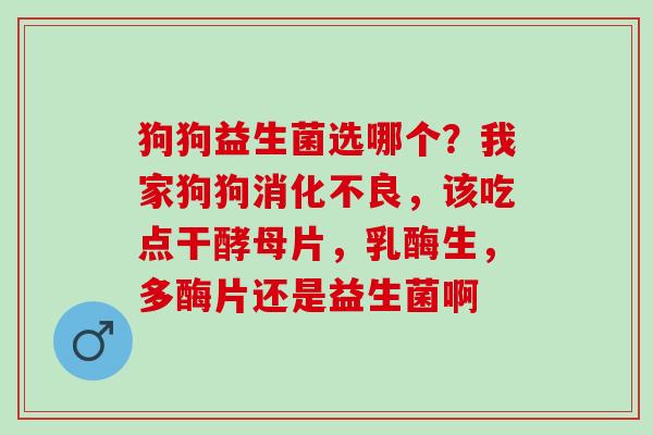 狗狗益生菌选哪个？我家狗狗，该吃点干酵母片，乳酶生，多酶片还是益生菌啊