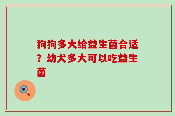 狗狗多大给益生菌合适？幼犬多大可以吃益生菌
