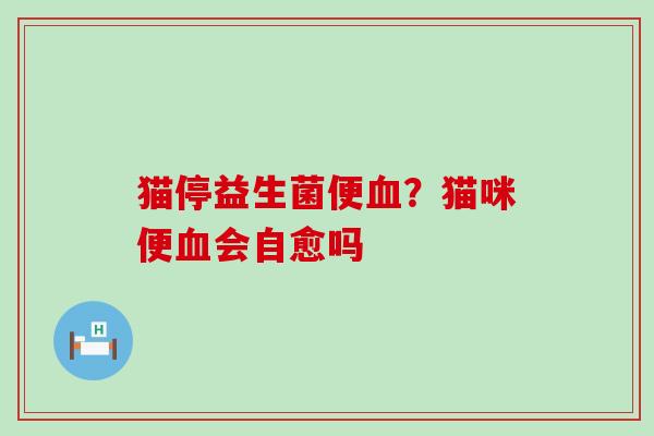 猫停益生菌便？猫咪便会自愈吗