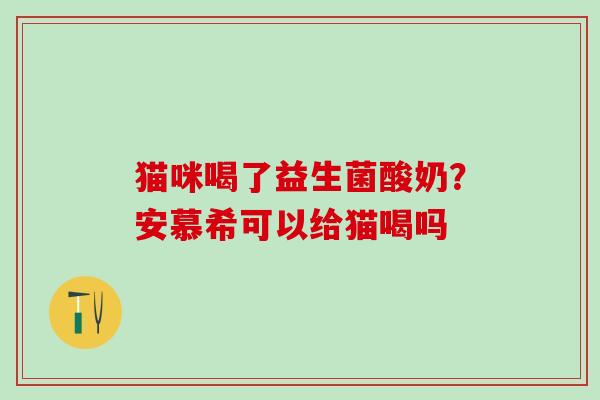 猫咪喝了益生菌酸奶？安慕希可以给猫喝吗