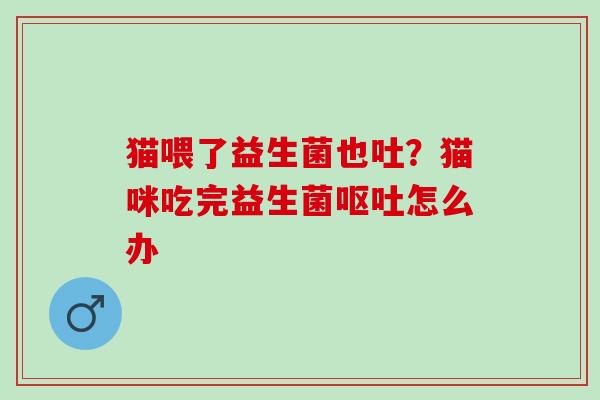 猫喂了益生菌也吐？猫咪吃完益生菌怎么办