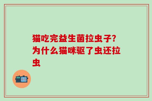 猫吃完益生菌拉虫子？为什么猫咪驱了虫还拉虫