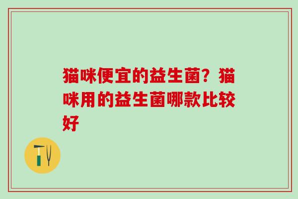 猫咪便宜的益生菌？猫咪用的益生菌哪款比较好