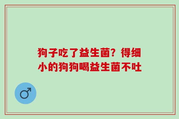 狗子吃了益生菌？得细小的狗狗喝益生菌不吐