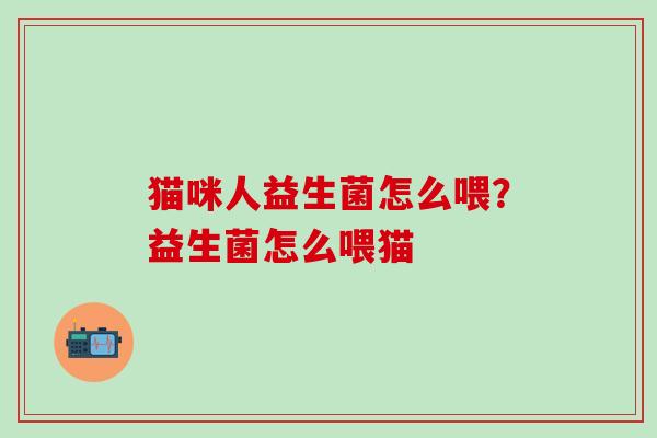 猫咪人益生菌怎么喂？益生菌怎么喂猫