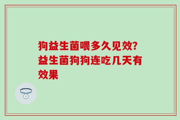 狗益生菌喂多久见效？益生菌狗狗连吃几天有效果