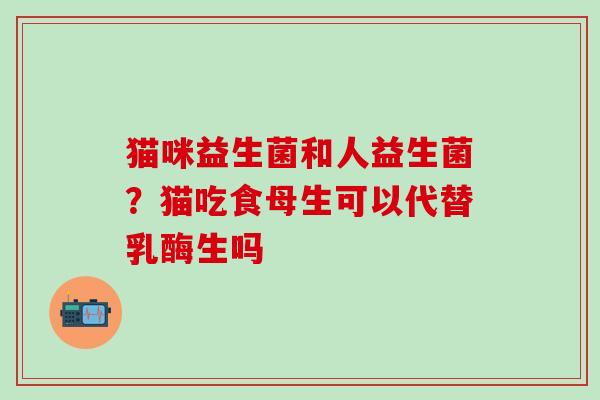 猫咪益生菌和人益生菌？猫吃食母生可以代替乳酶生吗