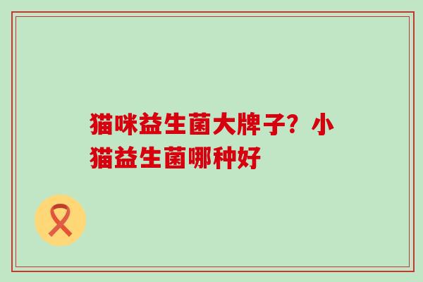 猫咪益生菌大牌子？小猫益生菌哪种好
