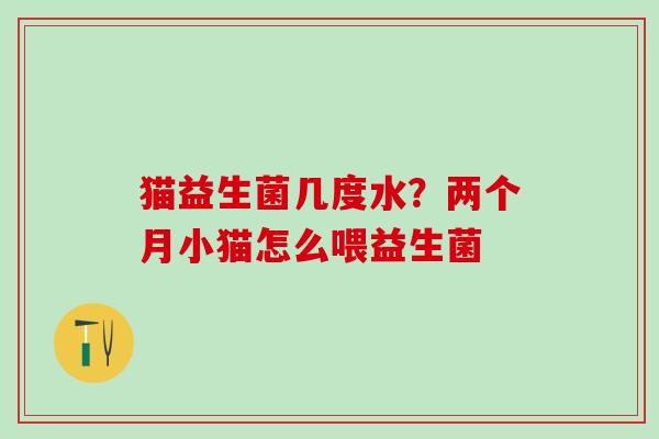 猫益生菌几度水？两个月小猫怎么喂益生菌