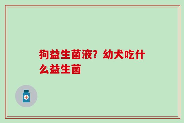 狗益生菌液？幼犬吃什么益生菌