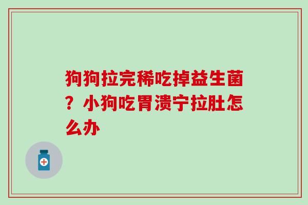 狗狗拉完稀吃掉益生菌？小狗吃胃溃宁拉肚怎么办