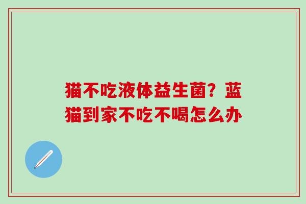 猫不吃液体益生菌？蓝猫到家不吃不喝怎么办