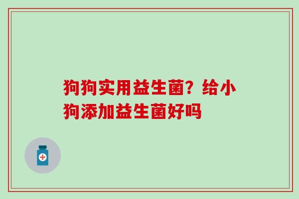 狗狗实用益生菌？给小狗添加益生菌好吗