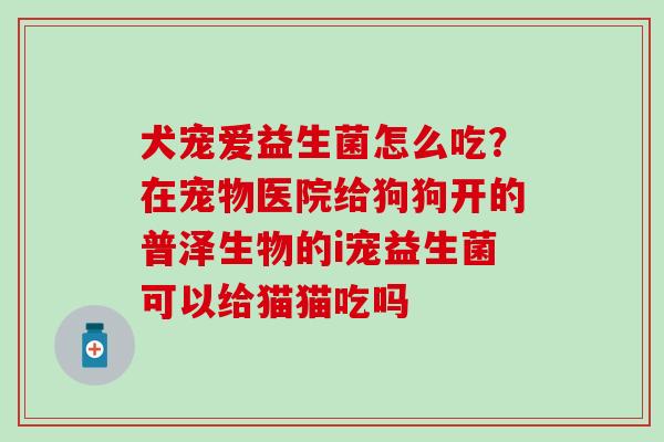 犬宠爱益生菌怎么吃？在宠物医院给狗狗开的普泽生物的i宠益生菌可以给猫猫吃吗