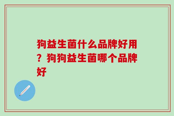 狗益生菌什么品牌好用？狗狗益生菌哪个品牌好