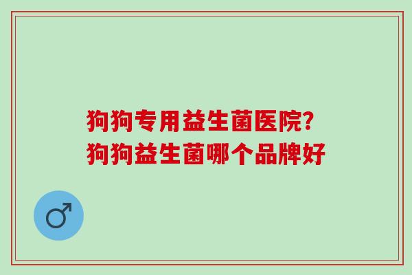 狗狗专用益生菌医院？狗狗益生菌哪个品牌好