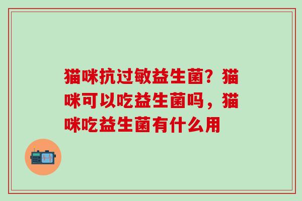 猫咪抗益生菌？猫咪可以吃益生菌吗，猫咪吃益生菌有什么用