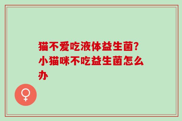 猫不爱吃液体益生菌？小猫咪不吃益生菌怎么办