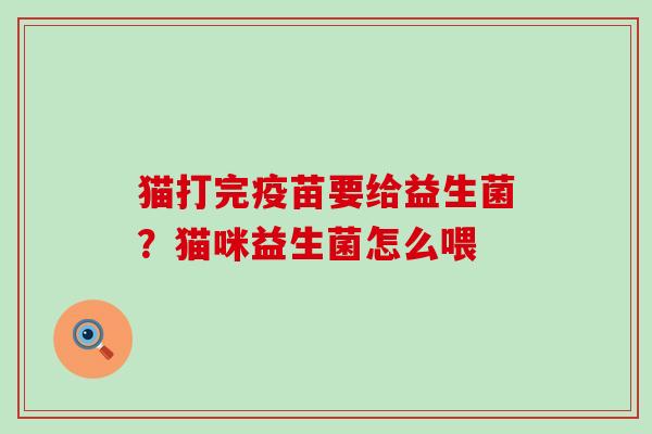 猫打完疫苗要给益生菌？猫咪益生菌怎么喂