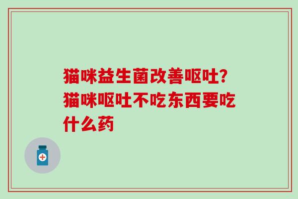 猫咪益生菌改善？猫咪不吃东西要吃什么药