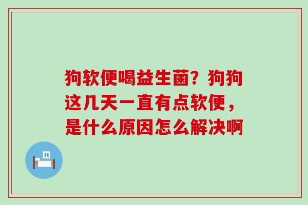 狗软便喝益生菌？狗狗这几天一直有点软便，是什么原因怎么解决啊