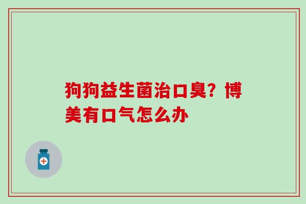 狗狗益生菌？博美有口气怎么办