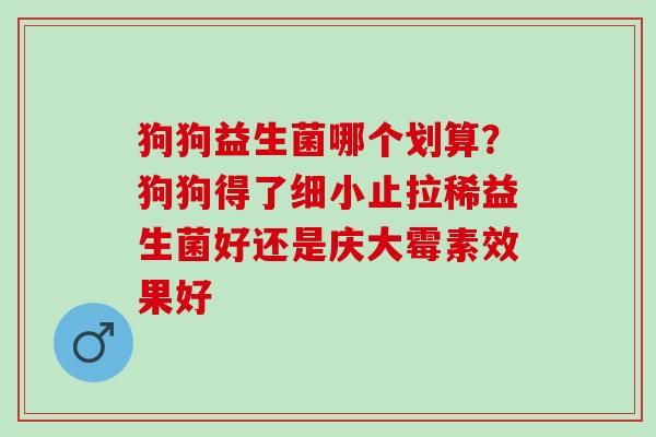 狗狗益生菌哪个划算？狗狗得了细小止拉稀益生菌好还是庆大霉素效果好