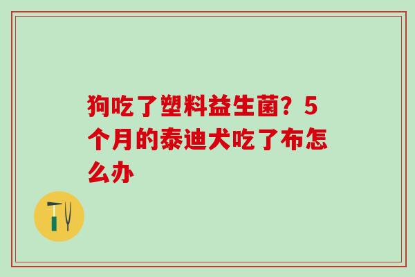 狗吃了塑料益生菌？5个月的泰迪犬吃了布怎么办