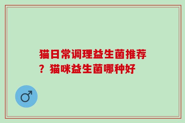 猫日常调理益生菌推荐？猫咪益生菌哪种好