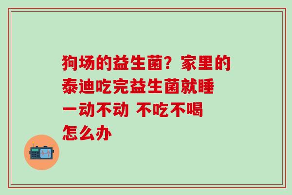 狗场的益生菌？家里的泰迪吃完益生菌就睡 一动不动 不吃不喝 怎么办