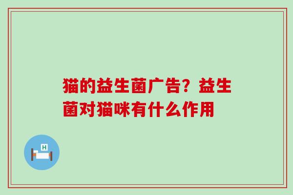 猫的益生菌广告？益生菌对猫咪有什么作用
