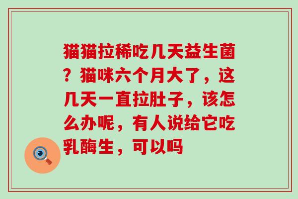 猫猫拉稀吃几天益生菌？猫咪六个月大了，这几天一直拉肚子，该怎么办呢，有人说给它吃乳酶生，可以吗