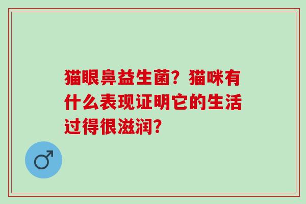 猫眼鼻益生菌？猫咪有什么表现证明它的生活过得很滋润？