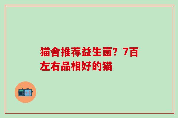 猫舍推荐益生菌？7百左右品相好的猫