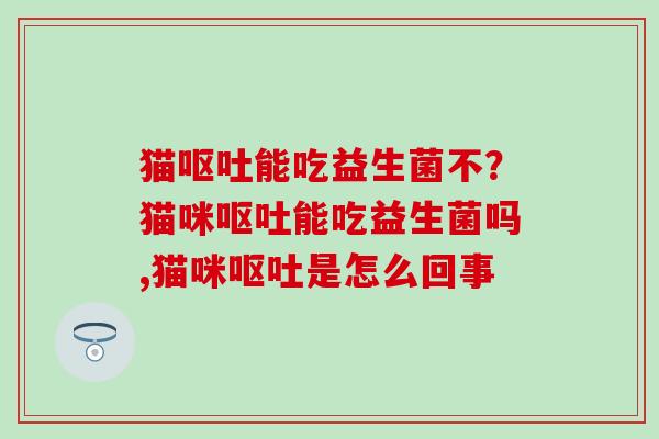 猫能吃益生菌不？猫咪能吃益生菌吗,猫咪是怎么回事