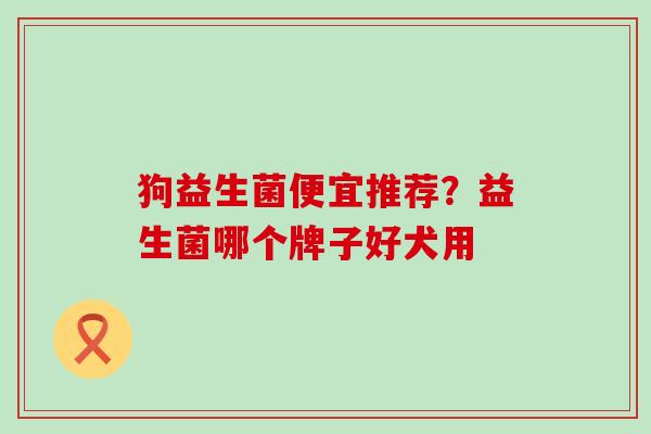 狗益生菌便宜推荐？益生菌哪个牌子好犬用