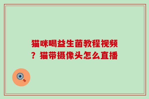 猫咪喝益生菌教程视频？猫带摄像头怎么直播